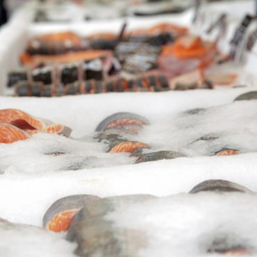 GERCO Ice Slats & Fish processing halls and cold stores